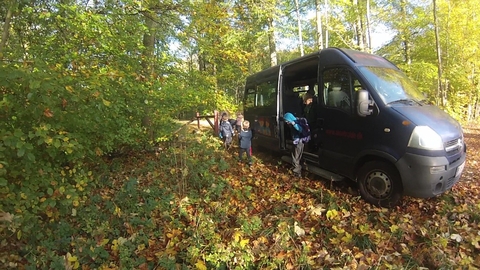 bus